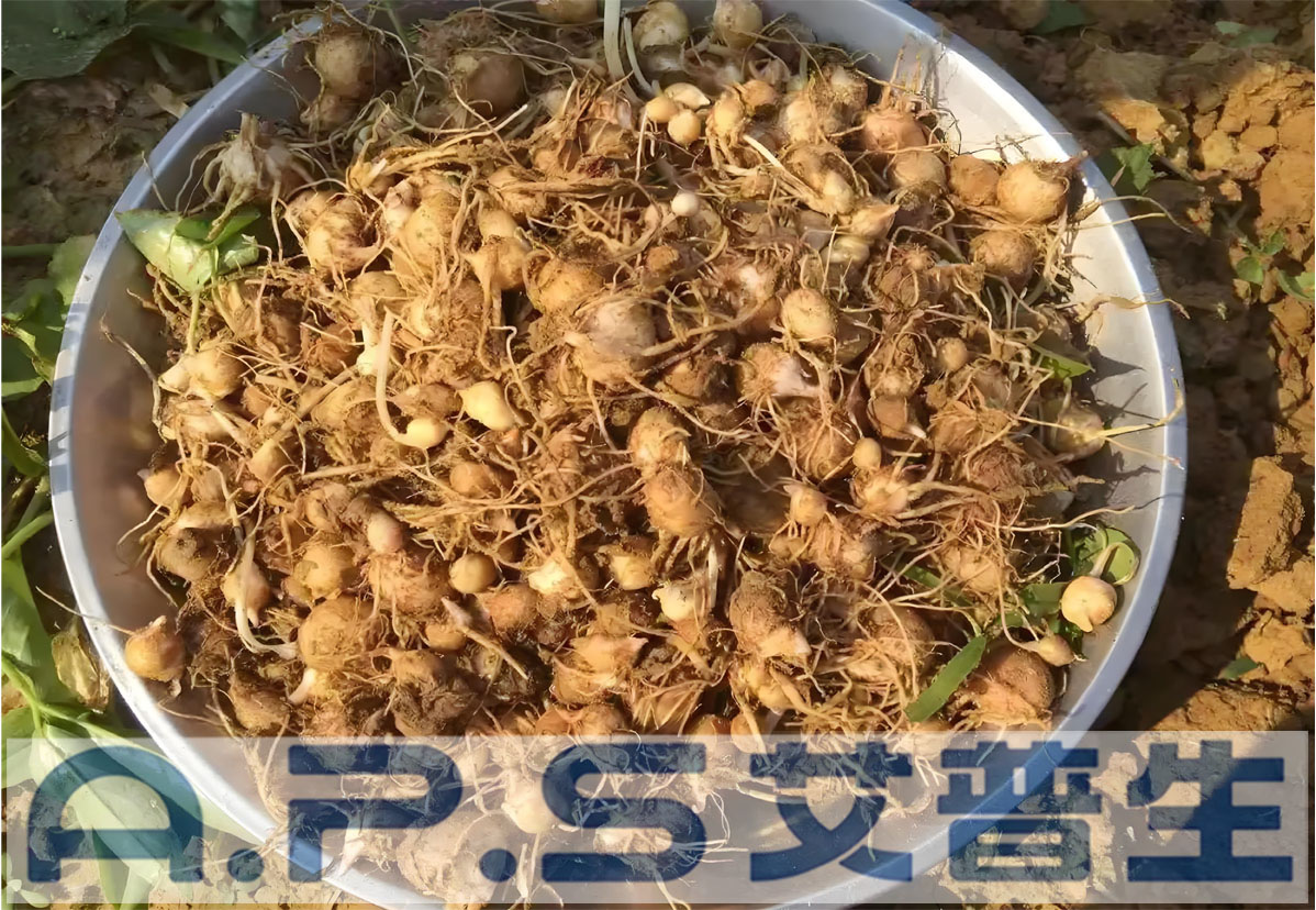 星空体育注册官网
半夏热泵烘干机-3.jpg