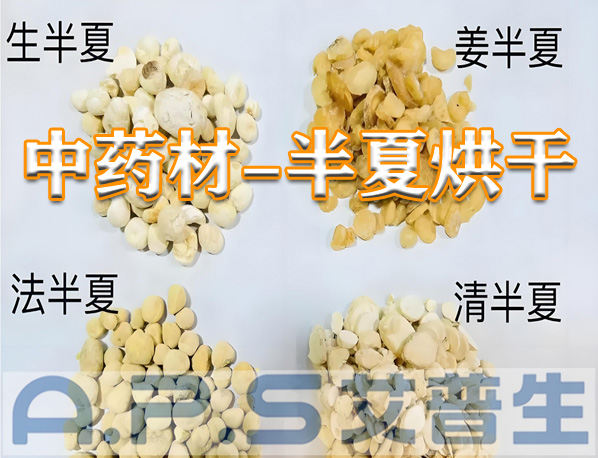 星空体育注册官网
环境科技：半夏的烘干方法有哪些？哪一种烘干效果更好？