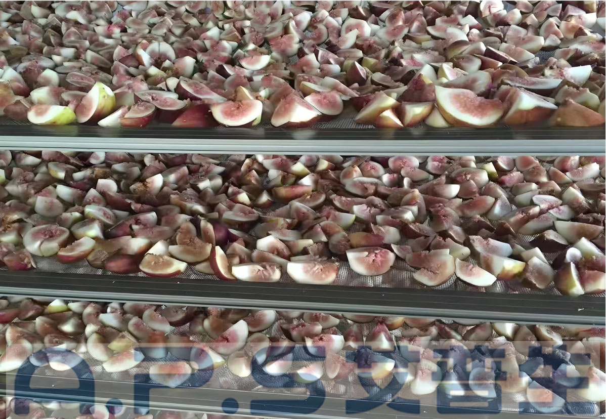 8、无花果烘干 详情页=1.jpg