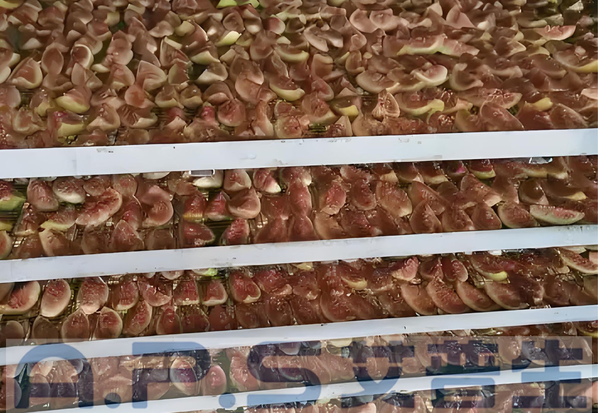 8、无花果烘干 详情页=2.jpg